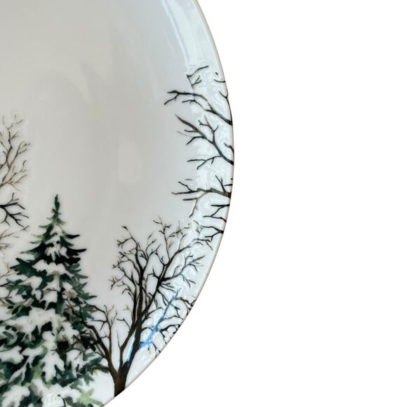 Intesa Home Christmas Pine Tree Dinner Plates 10.5in Green White Set of 2 NEW - Picture 6 of 10